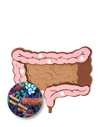 Maternal blood testing
